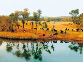 山西右玉连续八年获“中国最美县域”称号