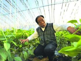 王乐义|人物百科